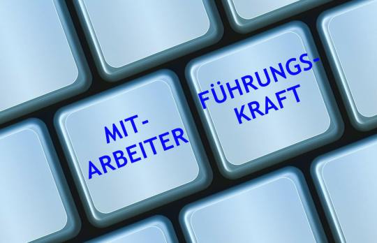 Vom Mitarbeiter zur Führungskraft, Führungstraining 